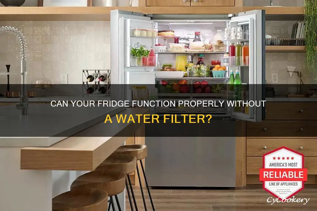 will a refrigerator work without a filter