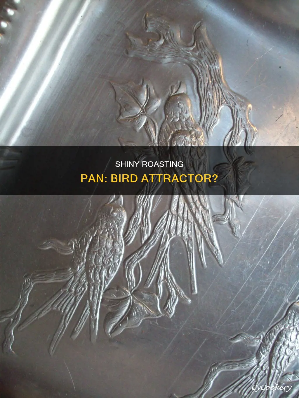 will a shiny aluminum roasting pan attract birds