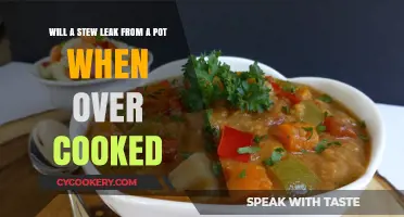 Overcooked Stew: Will It Leak from Your Pot? Find Out!