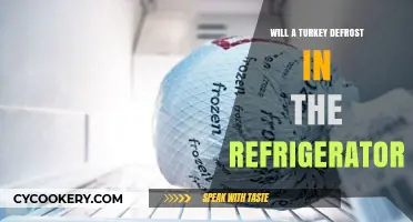 Safely Defrosting Turkey: Refrigerator Thawing Tips for Perfect Results