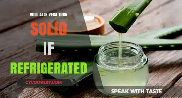 Does Refrigeration Make Aloe Vera Gel Solid? Facts Revealed