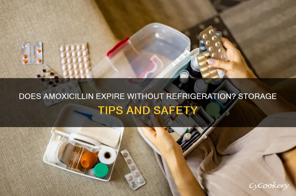 will amoxicillin go bad if not refrigerated