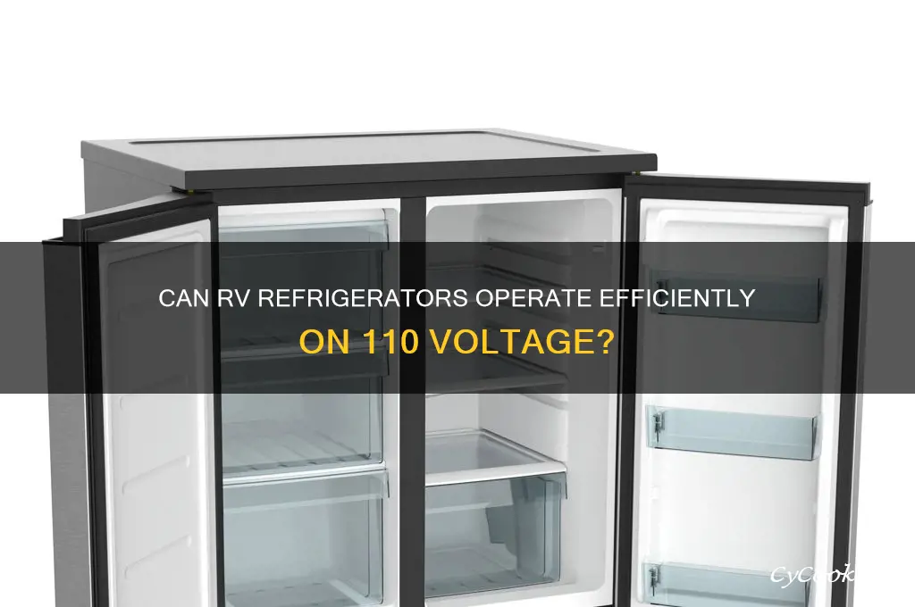 will an rv refrigerator run on 110