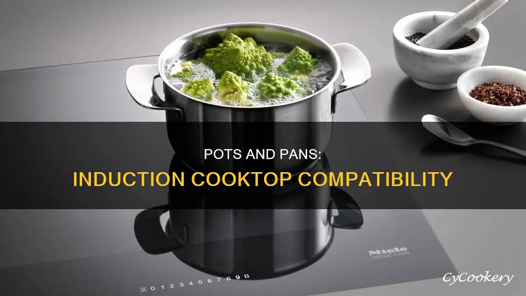 will any pots and pans work on a conduction cooktop