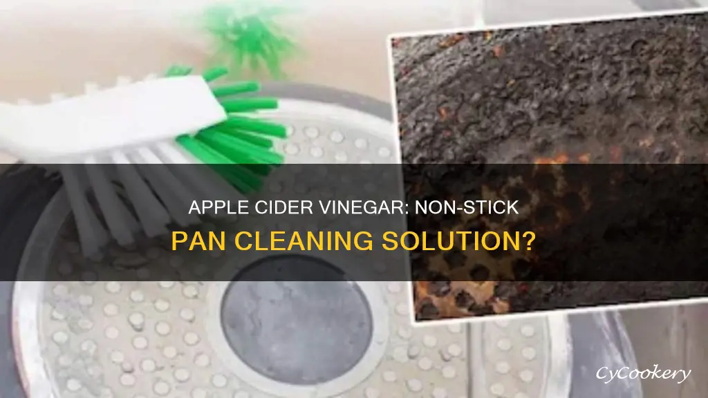 will apple cider vinegar clean non stick pan