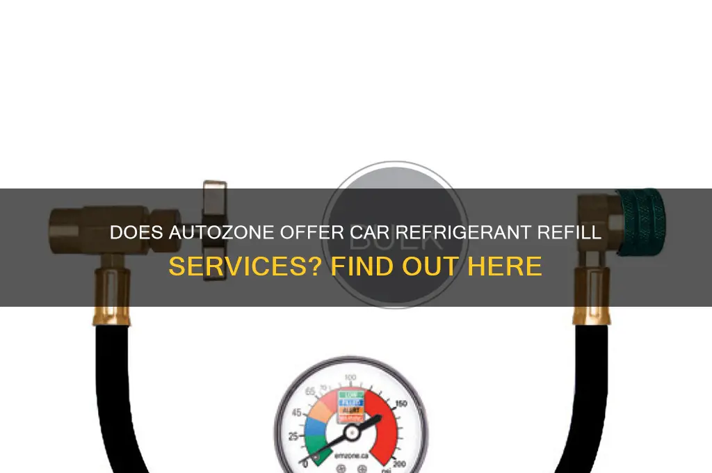 will autozone put refrigerant in my car