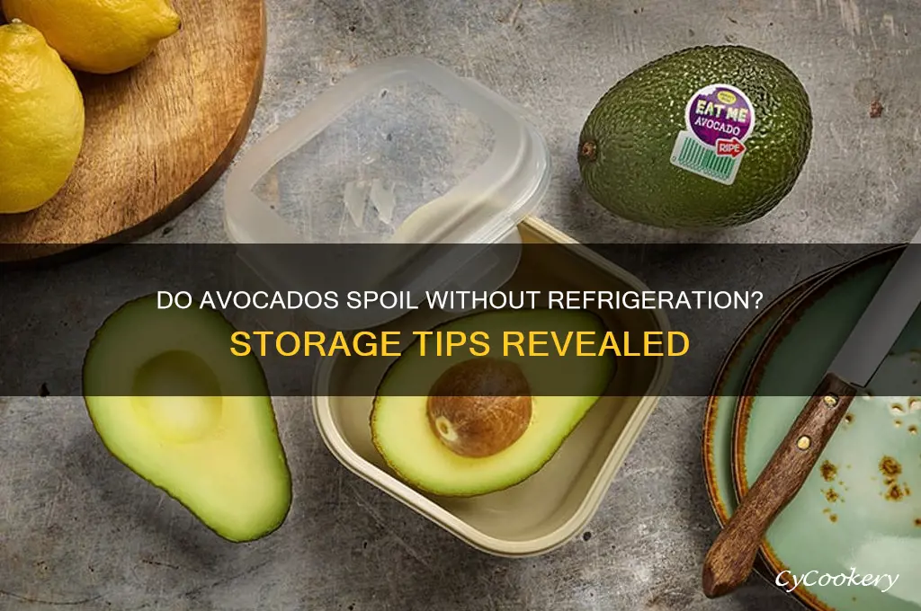 will avocados go bad if not refrigerated