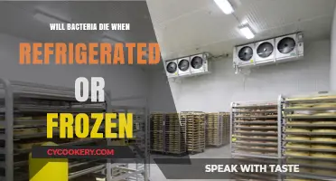 Refrigeration vs. Freezing: Can Bacteria Survive Cold Storage?