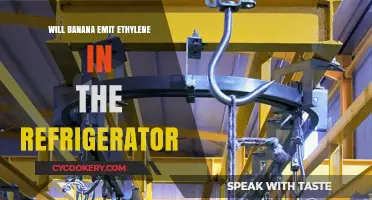 Does Refrigeration Stop Bananas from Releasing Ethylene Gas?