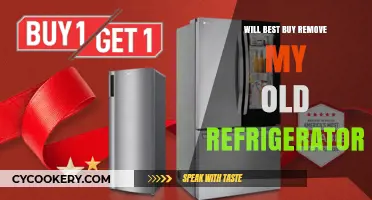 Does Best Buy Haul Away Old Fridges? Your Recycling Options Explained