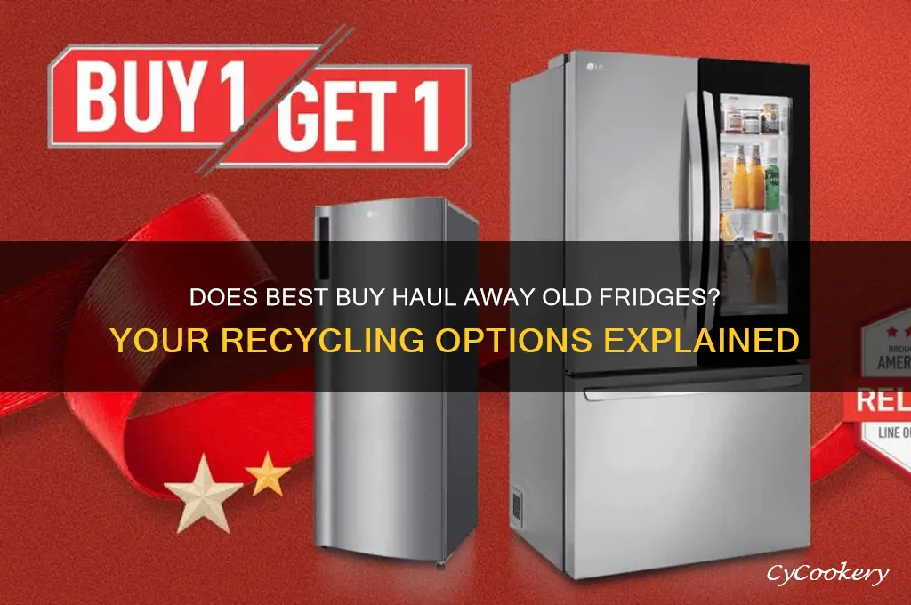 will best buy remove my old refrigerator