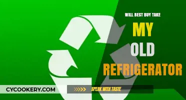 Can Best Buy Recycle My Old Refrigerator? Find Out Now!