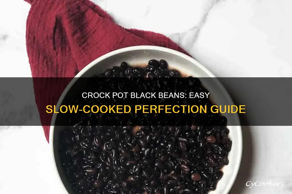 will black beans cook in the crock pot