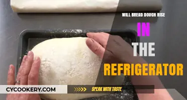 Can Bread Dough Rise in the Fridge? A Chilling Experiment