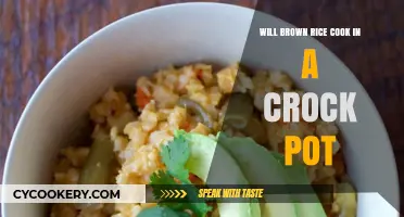 Can You Cook Brown Rice in a Crock Pot? Tips & Tricks