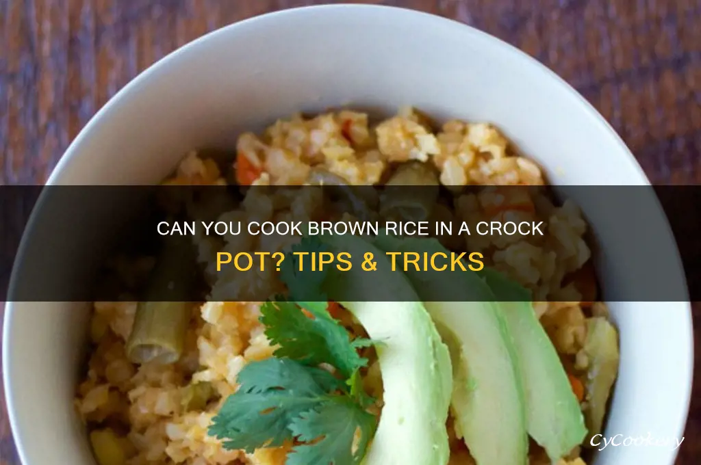 will brown rice cook in a crock pot