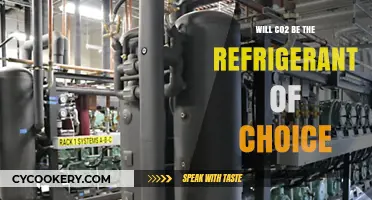 CO2 Refrigeration: The Sustainable Future for Cooling Technology?