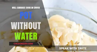 Can Cabbage Cook in a Crock Pot Without Water?