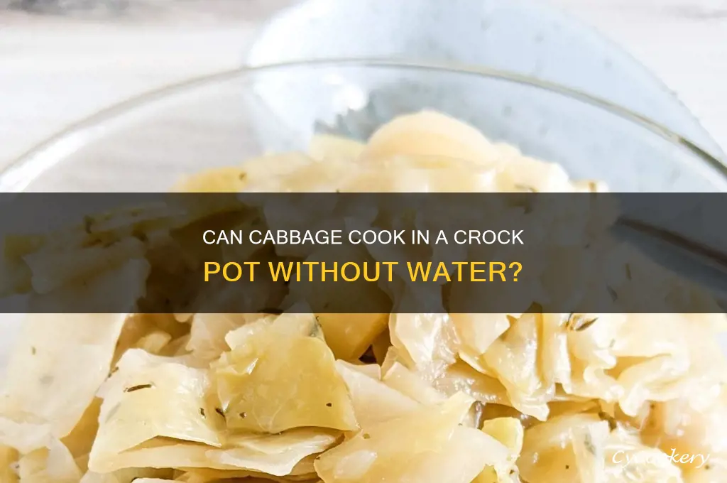 will cabbage cook in crock pot without water