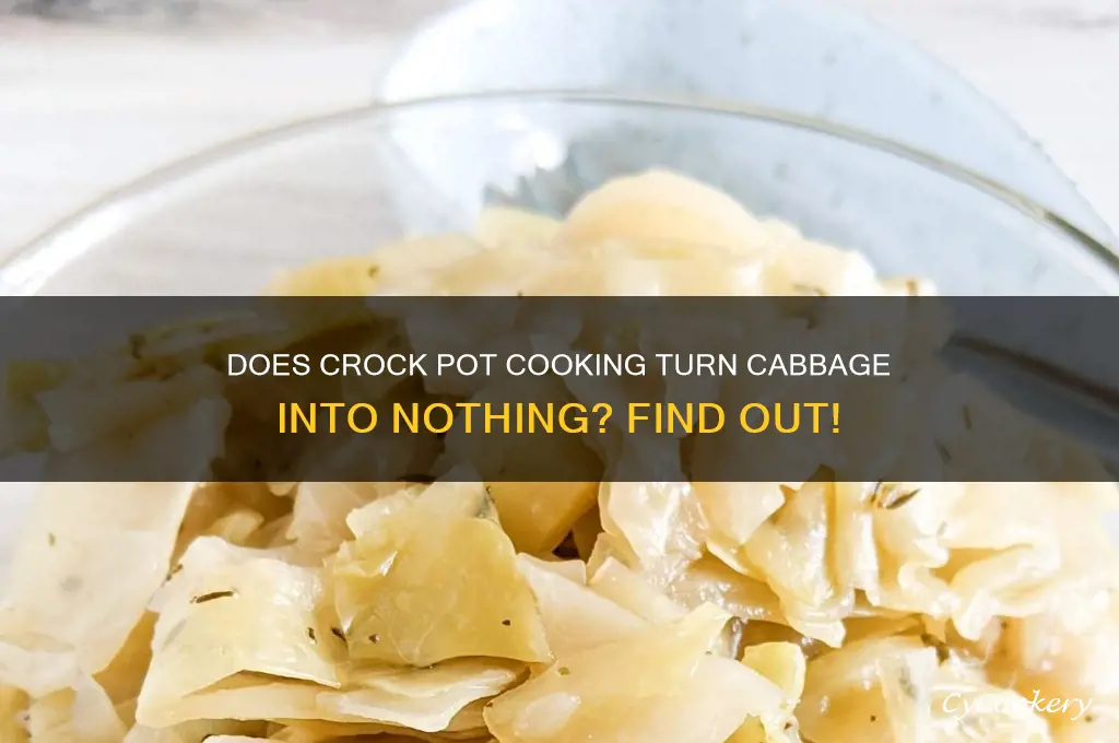 will cabbage cooked in a crock pot shrink to nothing