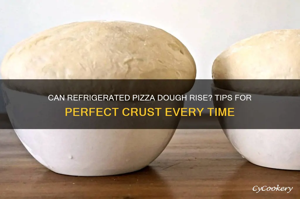 will can refrigerated pizza dough rise