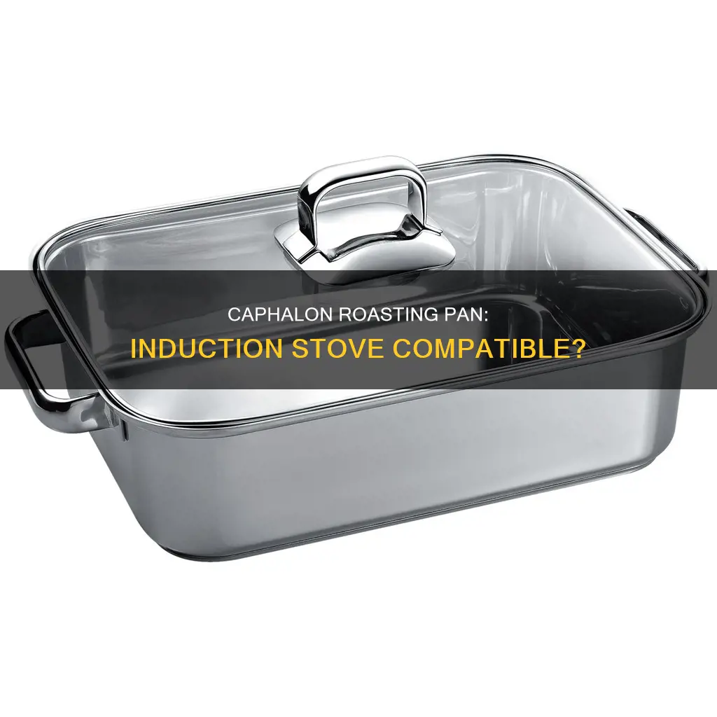 will caphalon roasting pan work on induction stove