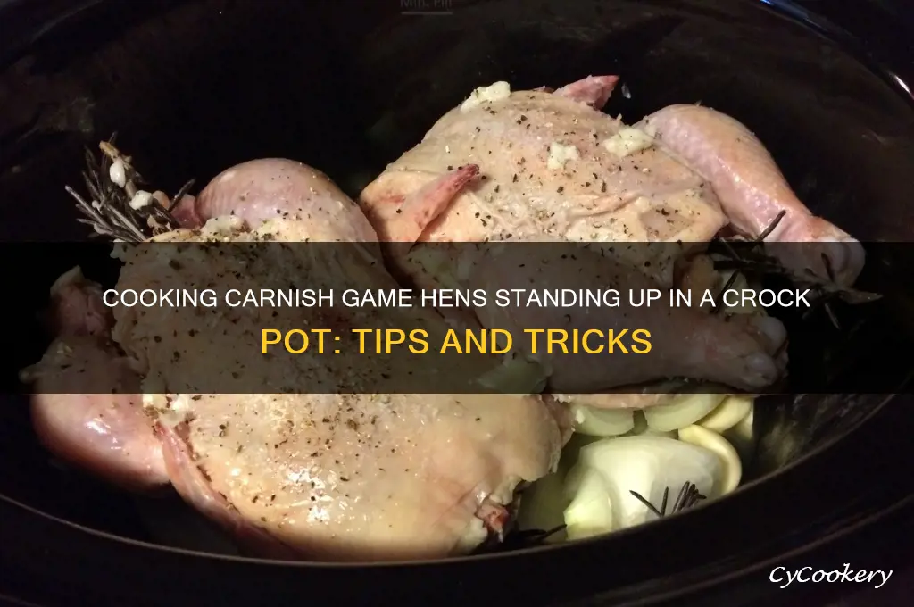 will carnish game hens cook standing up in crock pot