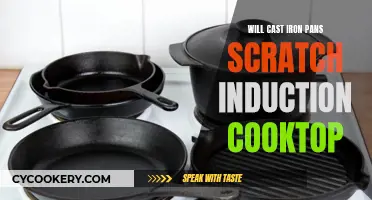 Cast Iron and Induction: A Scratchy Relationship?