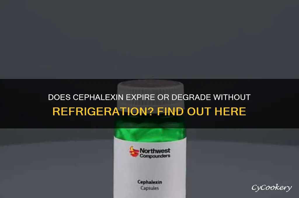 will cephalexin go bad if not refrigerated