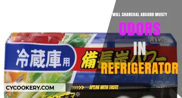 Charcoal's Power: Eliminating Musty Odors in Your Refrigerator Naturally