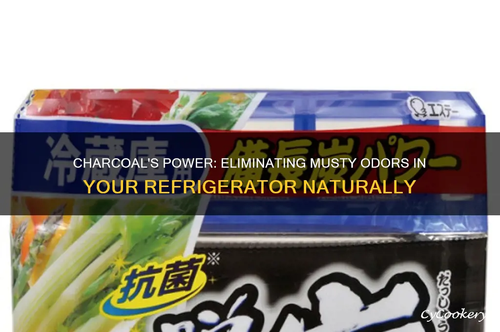 will charcoal absorb musty odors in refrigerator