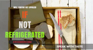 Does Cheese Spoil Without Refrigeration? Storage Tips and Shelf Life