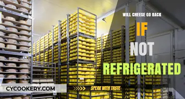 Does Cheese Need Refrigeration? Storage Tips to Keep It Fresh