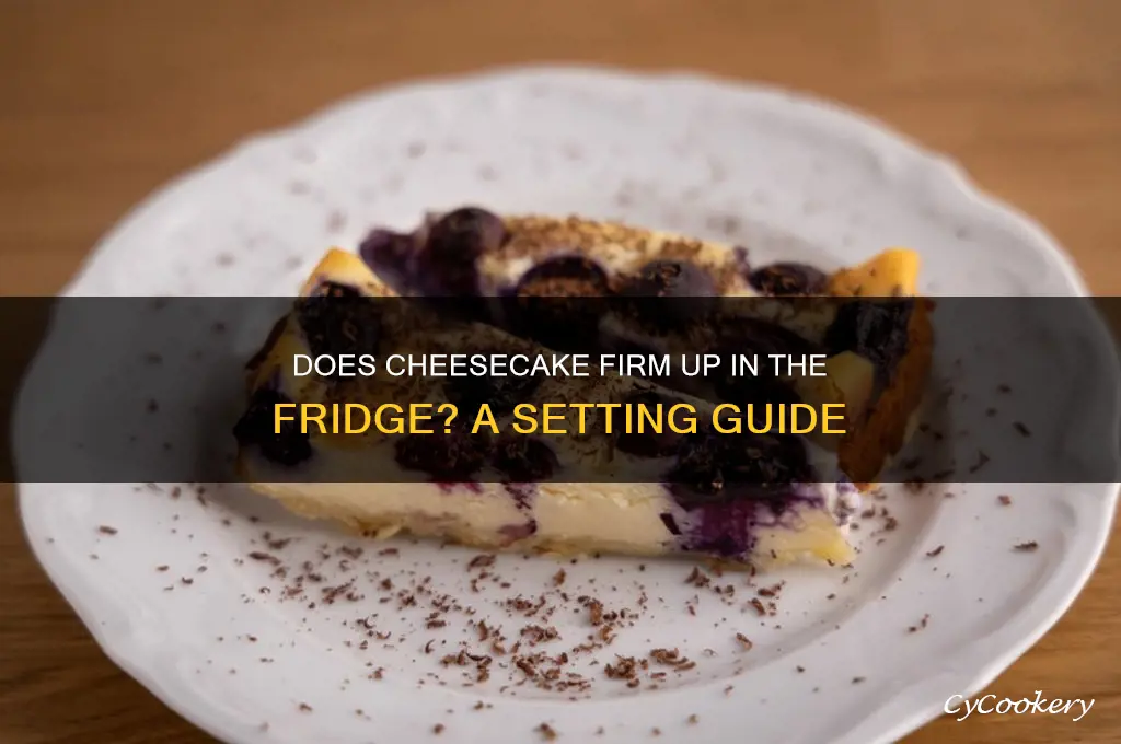 will cheesecake set up in the refrigerator