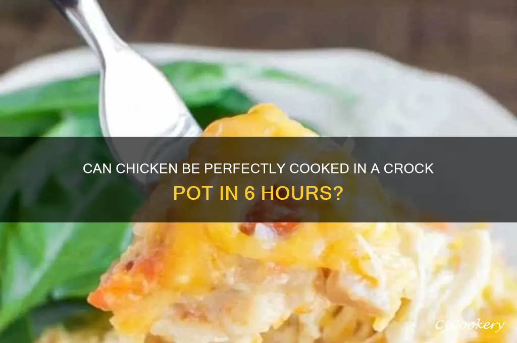 will chicken cook in a crock pot in 6 hours