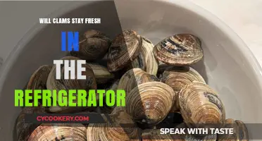 How Long Do Clams Stay Fresh in the Fridge?