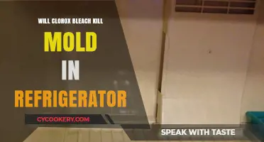 Using Clorox Bleach to Kill Mold in Your Refrigerator: What Works?