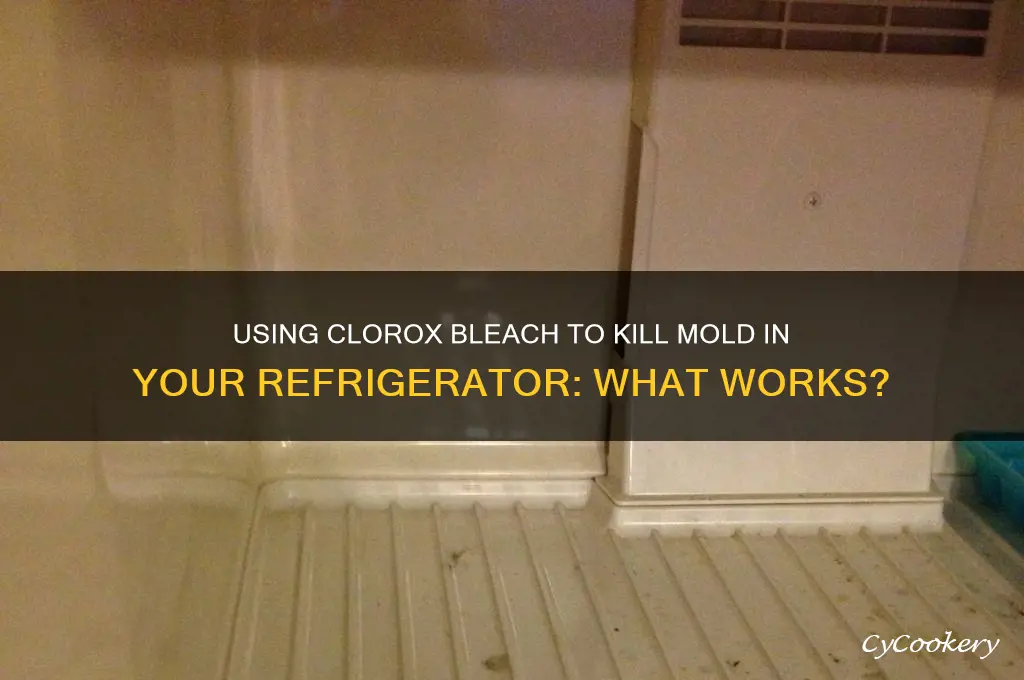 will clorox bleach kill mold in refrigerator