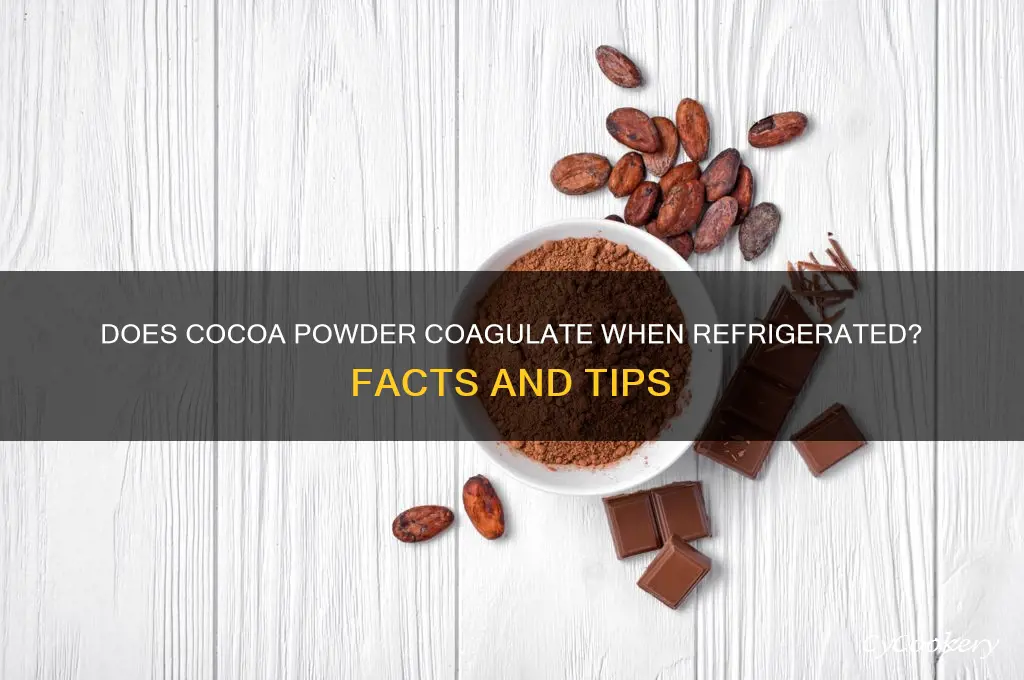 will cocoa powder coagulate in a refrigerator