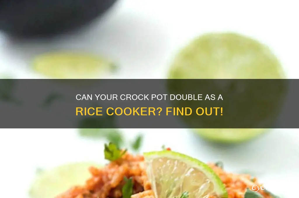 will crock pot slow cooker used as rice cooker