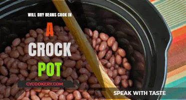 Can You Cook Dry Beans in a Crock Pot? Tips & Tricks