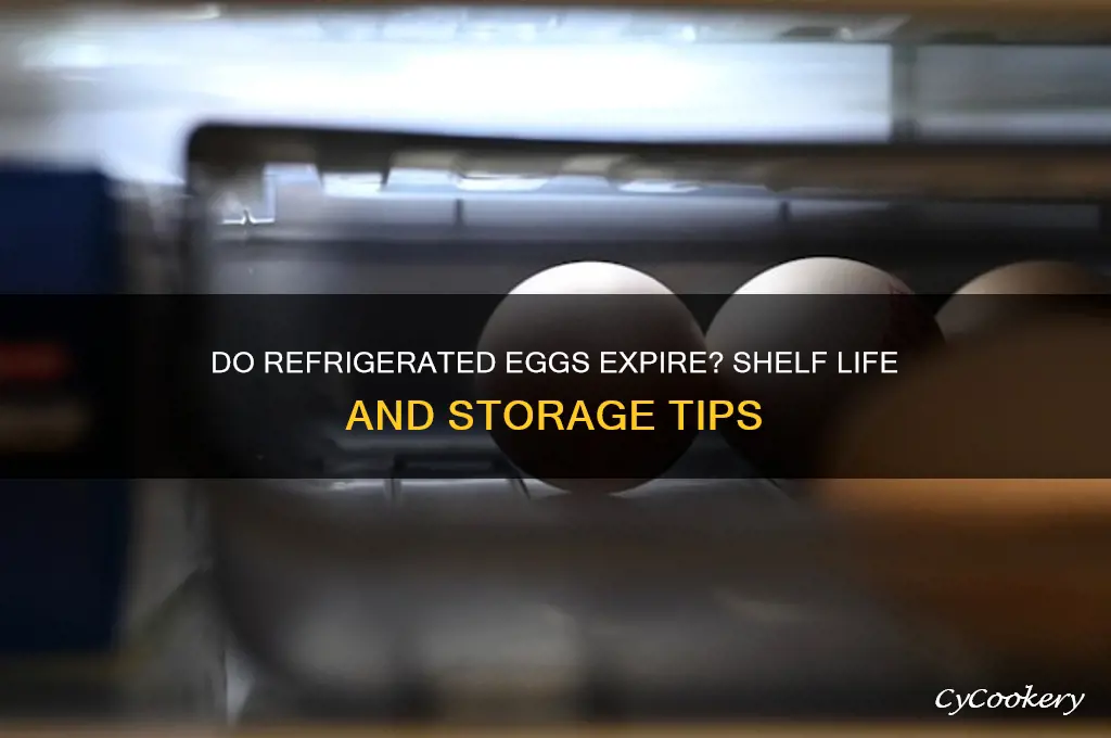 will eggs go bad in the refrigerator
