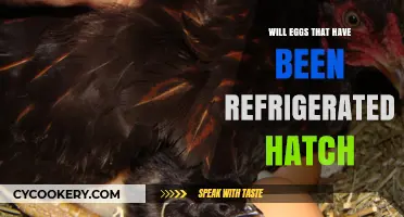 Can Refrigerated Eggs Hatch? Unraveling the Myth and Facts