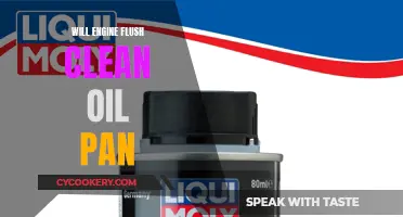 Engine Flush: Clean Oil Pan Possible?