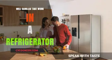 Can Garillia Function Efficiently Inside a Refrigerator? Exploring the Possibilities