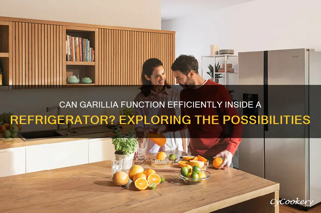will garillia take work in a refrigerator