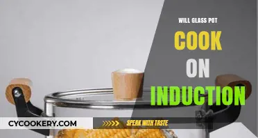 Can Glass Pots Work on Induction Cooktops? A Complete Guide