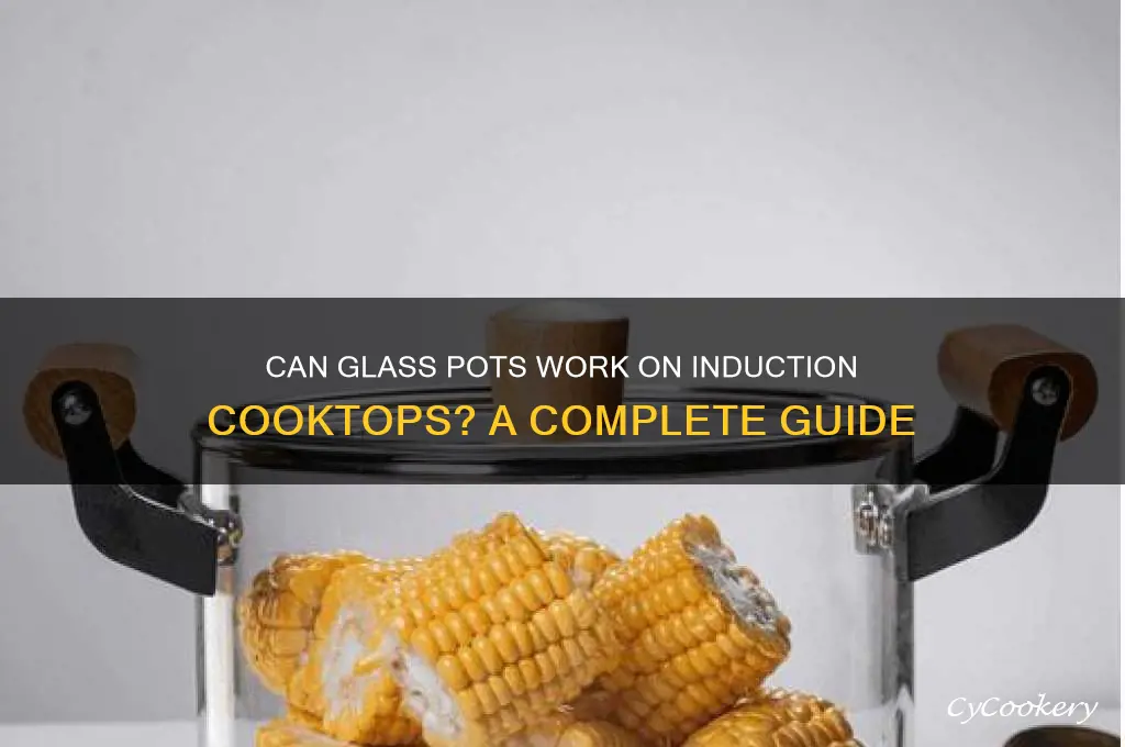 will glass pot cook on induction