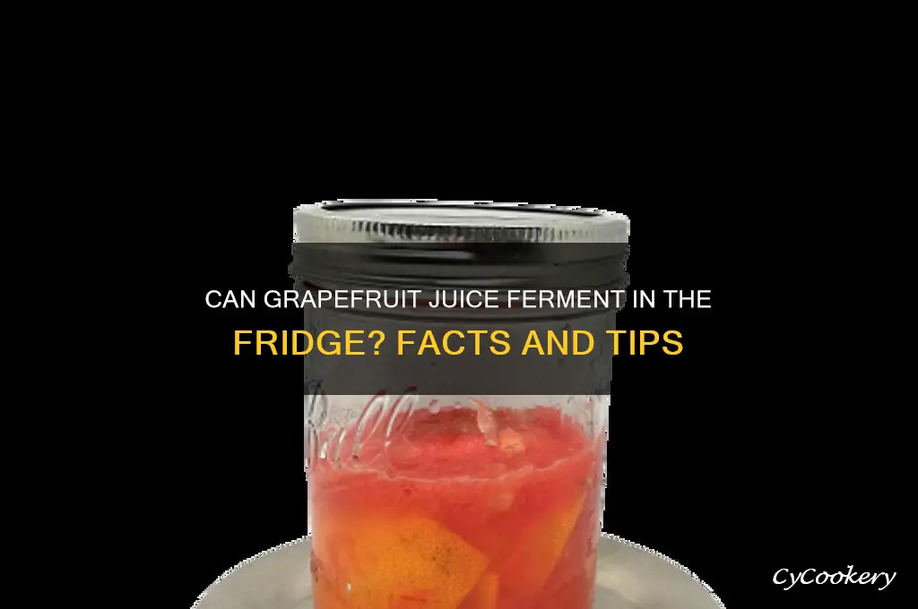 will grapefruit juice ferment in the refrigerator