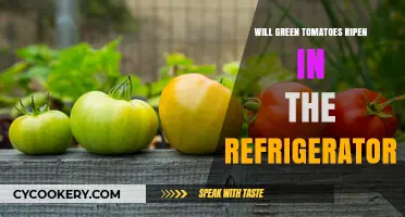 Can Green Tomatoes Ripen in the Fridge? Expert Tips Revealed